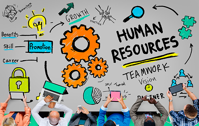 4 buenas prácticas para que Recursos Humanos agregue valor a la empresa -  HR Connect